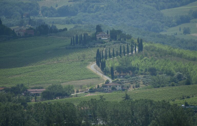 Ristorante a Certaldo con un bellissimo panorama