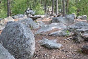 フランス、フォンテーヌブローの森に多数の岩が転がる風景