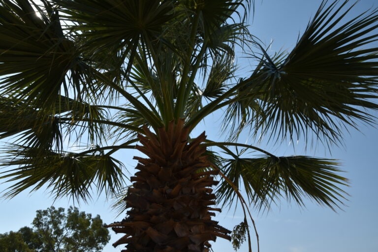 Karathona Beach (2)