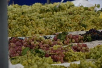 grape specialised booth in the open air market in Nafplio, Greece