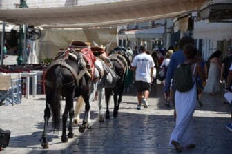 donkeys and horses led by a man around the port of Hydra island in Greece