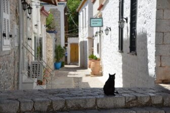 a black cat on Hydra island in Greece