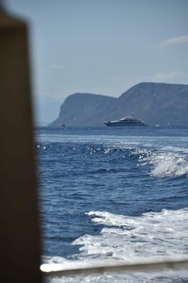 Hydra 2023 (24)