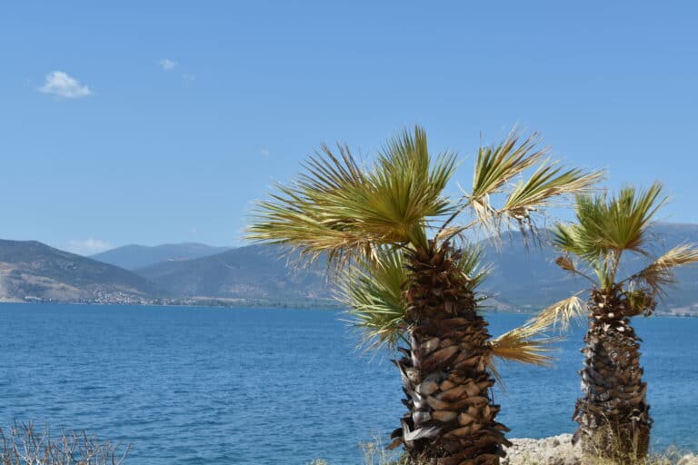 Nafplio 2023 (61)