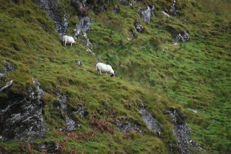 Glen Croe 2023 (2)