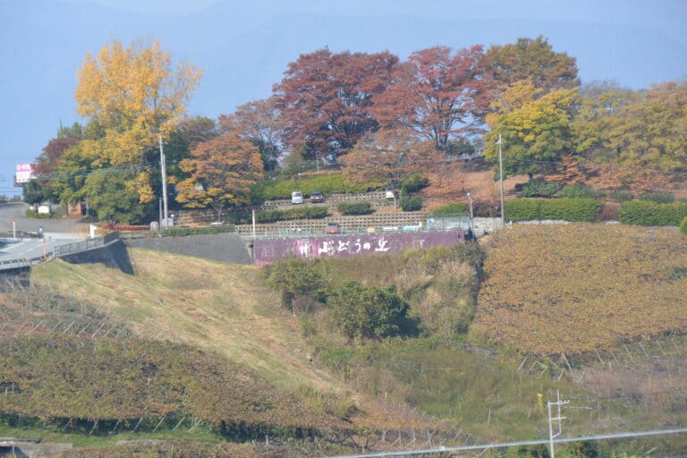 Katsunuma 2023 (1)
