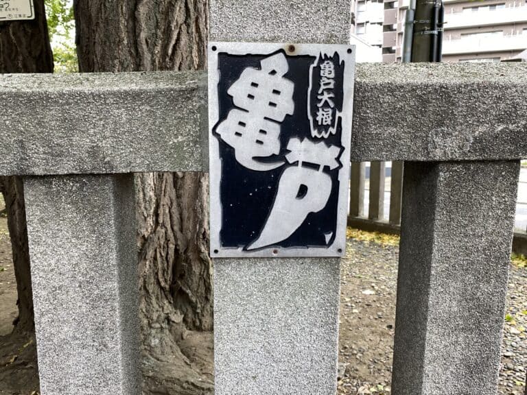 Tokyo, Kameido 2023 (8)