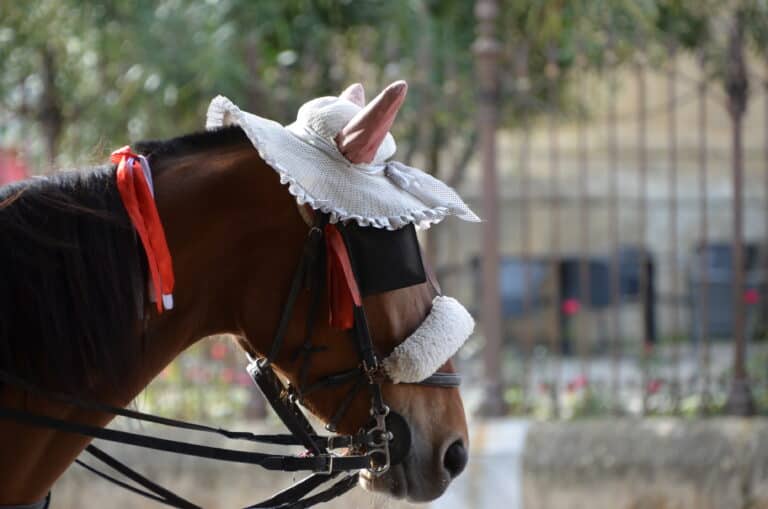 Palermo 2024 (16)
