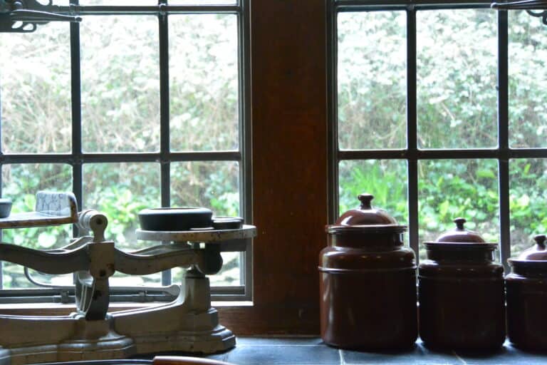 Coleton Fishacre 2024 (5)