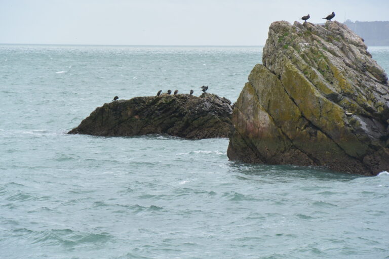 Torquay 2024 (7)