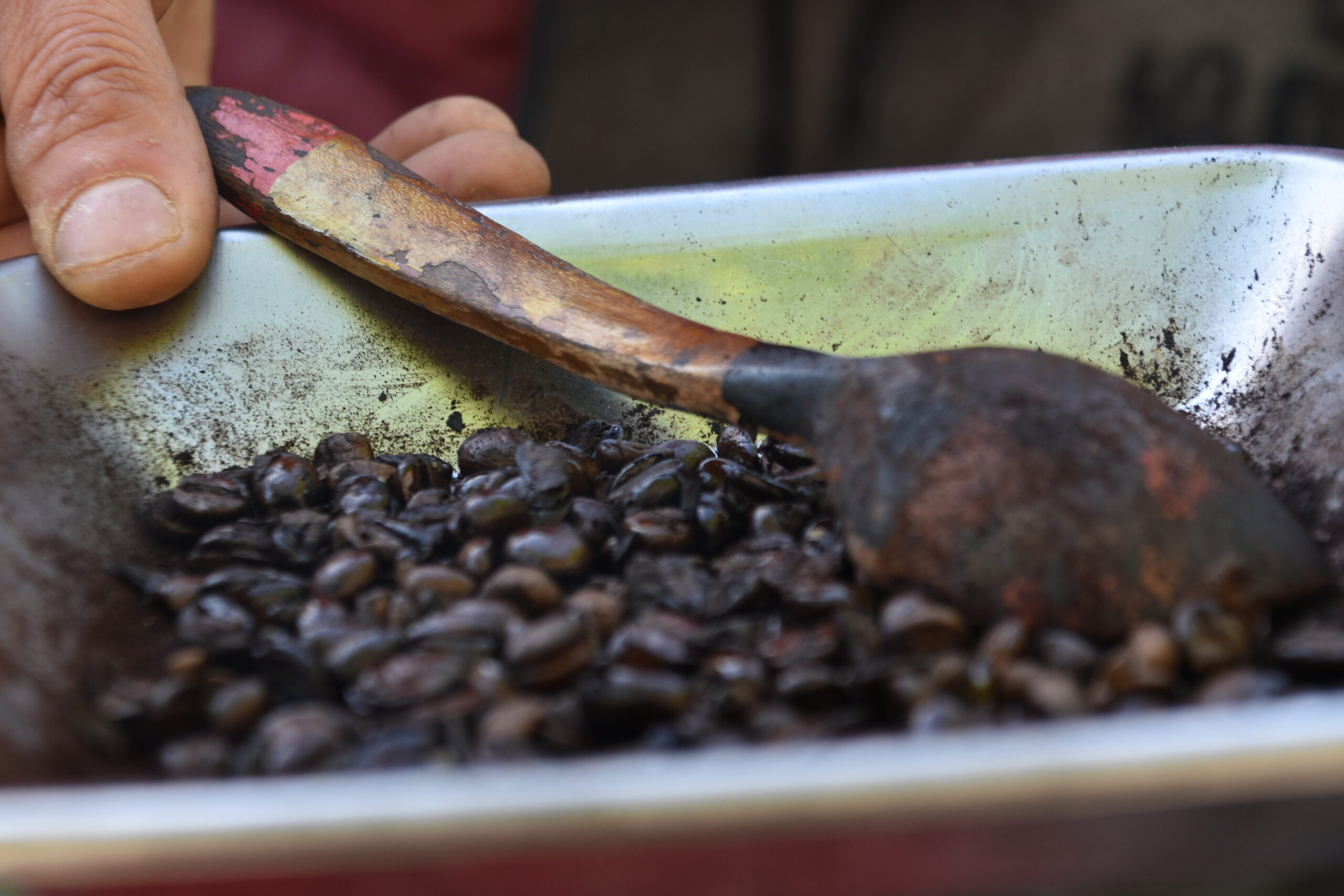 roasted coffee beans seen in the demonstration of coffee making in Gjirokaster, Albania