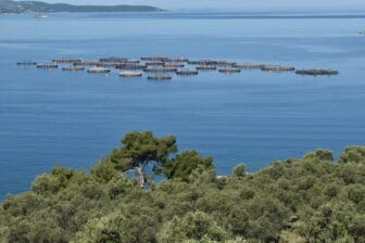 the view seen on the way to Butrint ruins in Albania