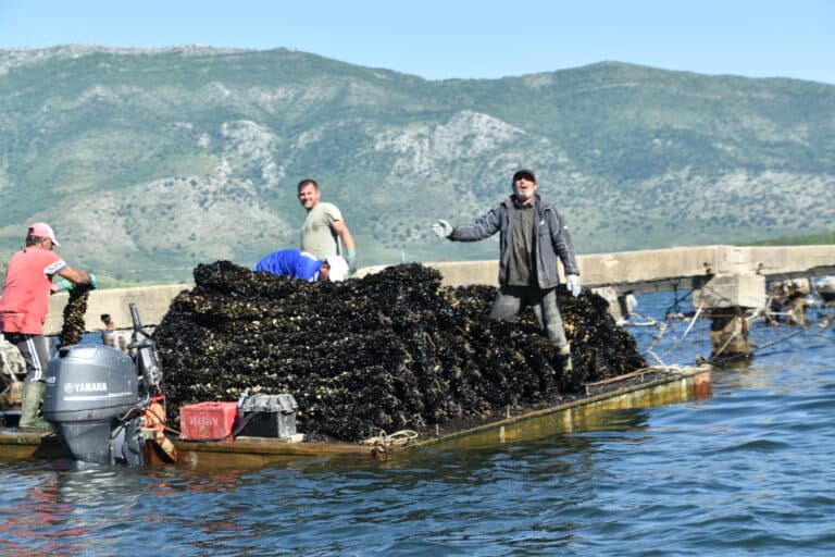 Butrint 2024 (19)