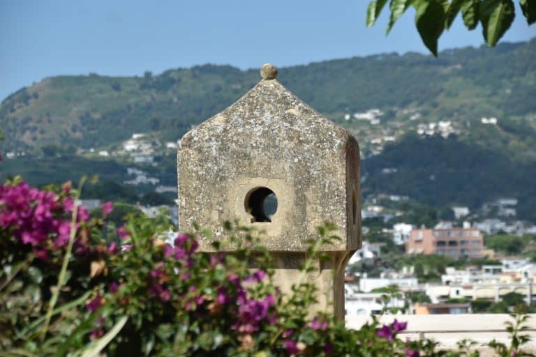 Ischia 2024 (18)