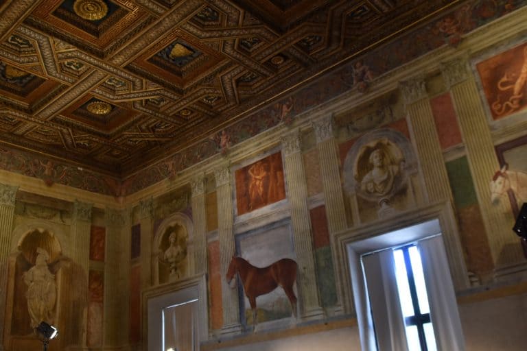 Mantova 2024 (26) (Lombardy)