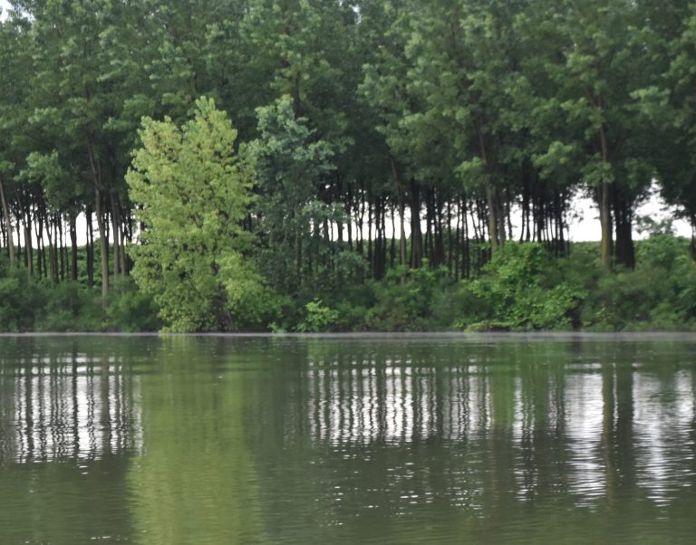 Mantova 2024 (44)