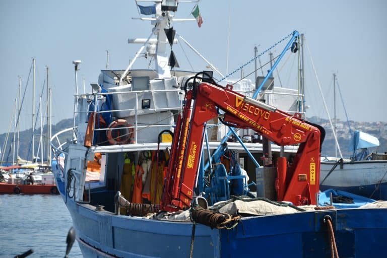 Procida2024 (3) (Procida) (Ischia)