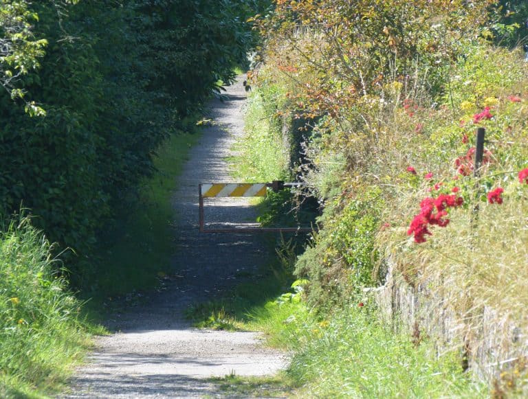 Borde Hill 2024 (8)