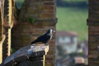 イタリア、カステッラルクアート