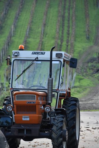 Castell’arquato 2024 (28)