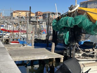 Chioggia 2024 (13)