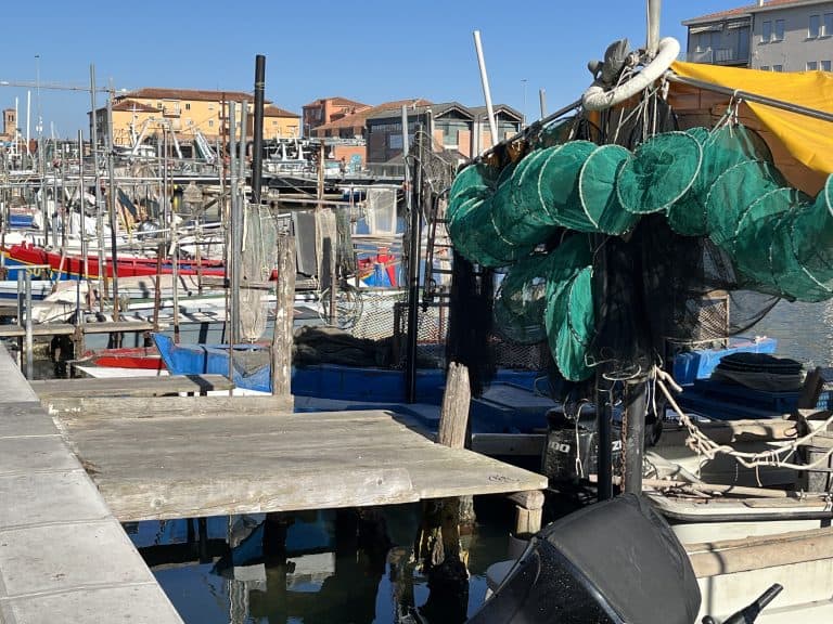 Chioggia 2024 (1)