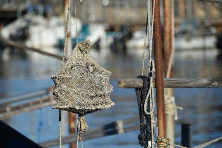 Chioggia 2024 (11)
