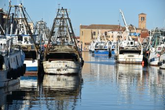 Sparkling Chioggia