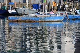 Chioggia 2024 (37)