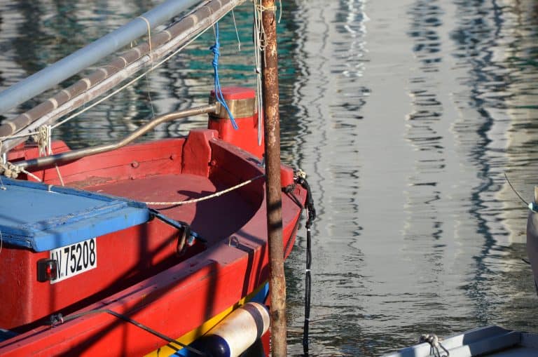 Chioggia 2024 (18)