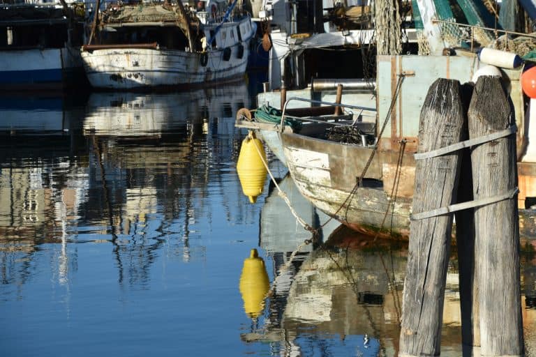 Chioggia 2024 (19) (Veneto)