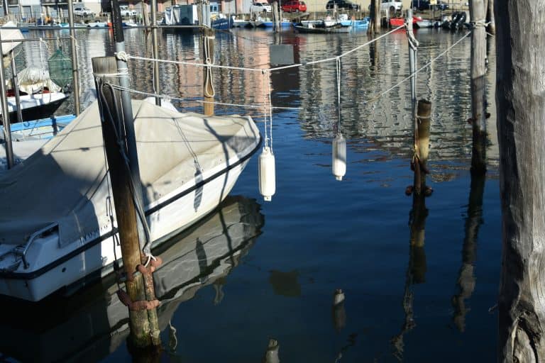 Chioggia 2024 (7)