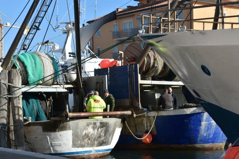 Chioggia 2024 (53) (Veneto)
