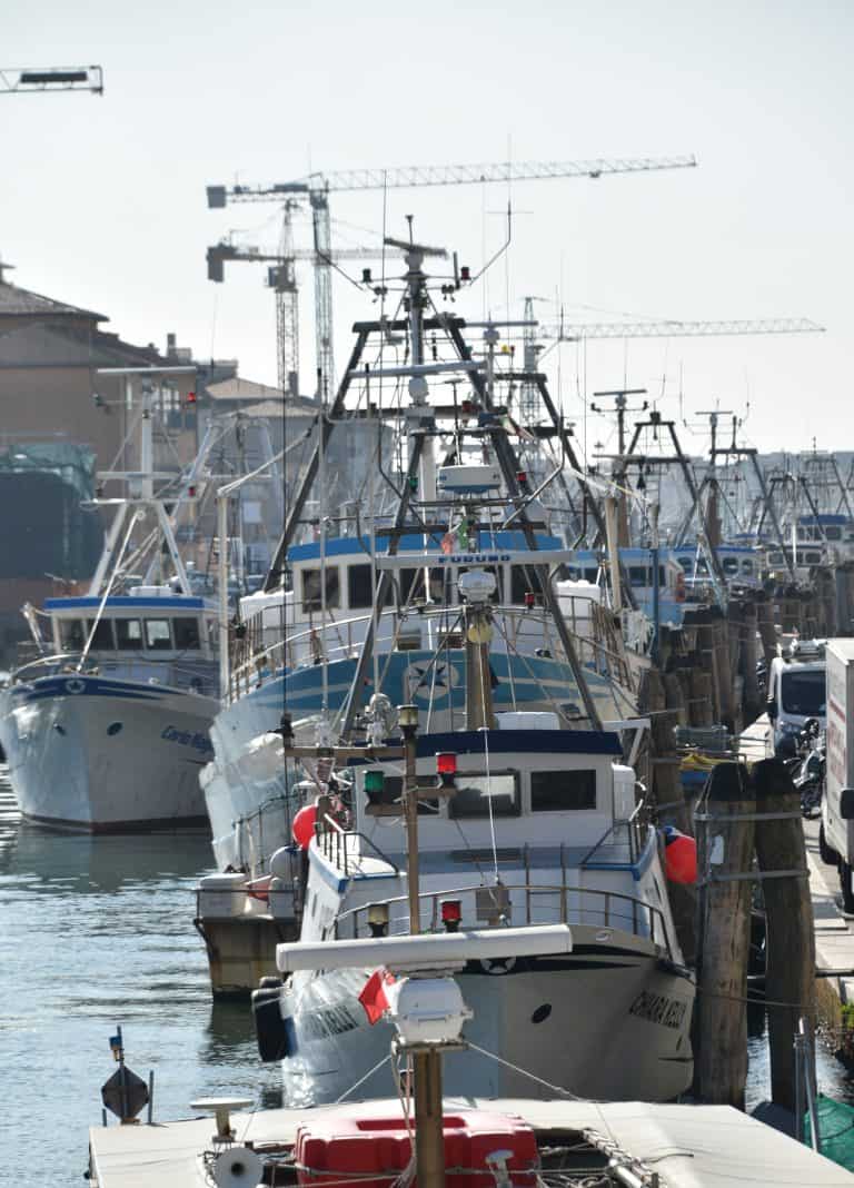 Chioggia 2024 (60)