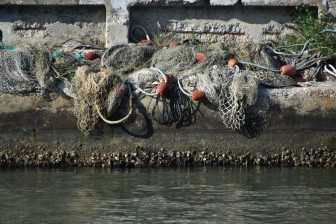 Chioggia 2024 (85)