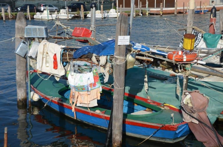 Chioggia 2024 (70)
