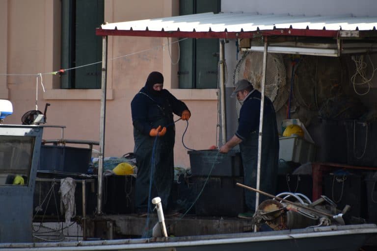 Chioggia 2024 (73)