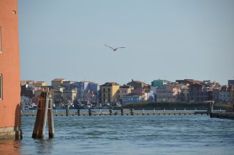 Chioggia 2024 (85)