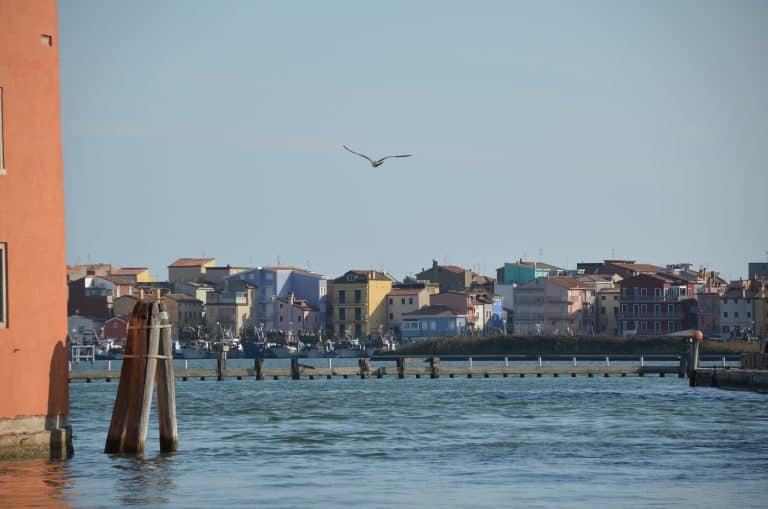 Chioggia 2024 (74)