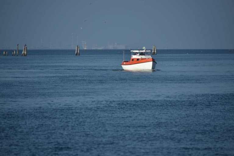 Pellestrina 2024 (24)