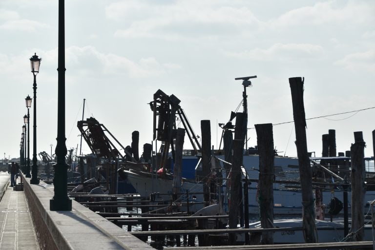 Pellestrina 2024 (6)