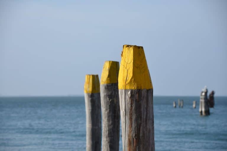 Pellestrina 2024 (9)