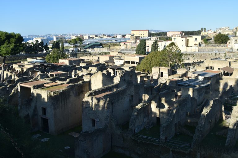 Ercolano 2024 (1) (エルコラーノ)