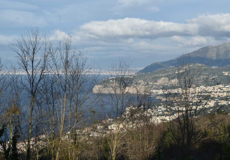 Sant’Agata 2024 (10)