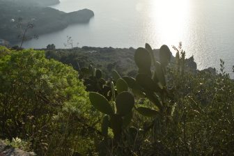 タクシー観光で見た南イタリア、カプリ島の自然