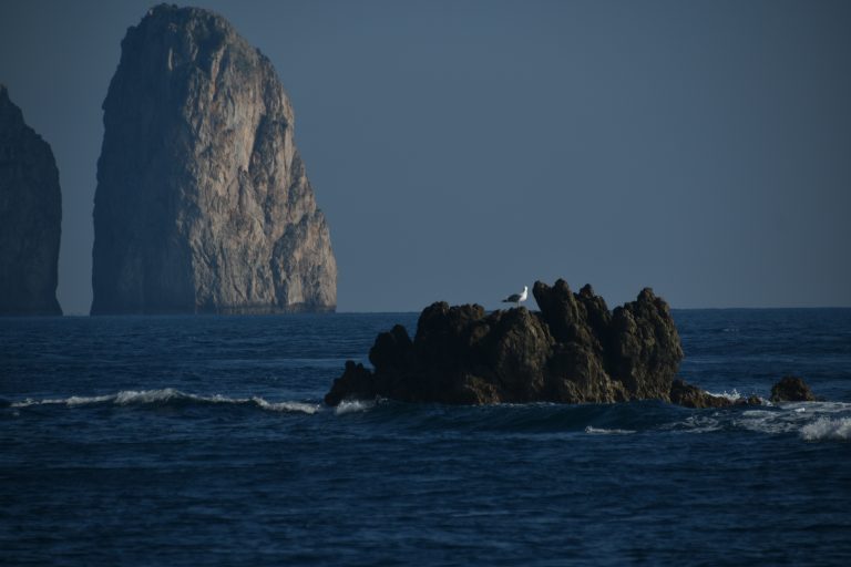 Capri 2025 (9)