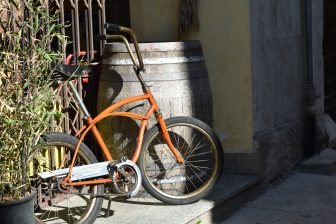 Castiglione Olona 2025 (24)
