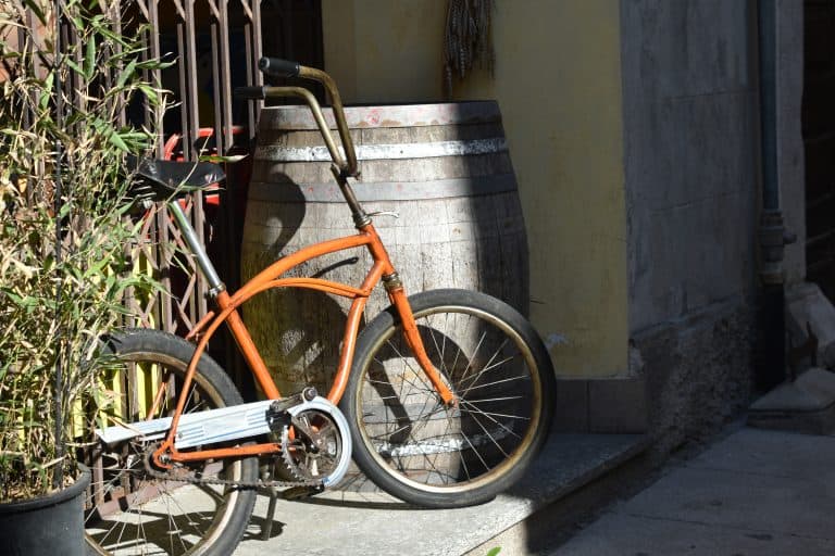 Castiglione Olona 2025 (2)