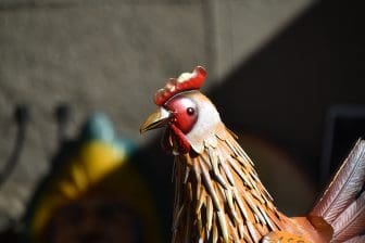北イタリア、カスティリオーネ・オロナの青空市で売られていた鶏の置物