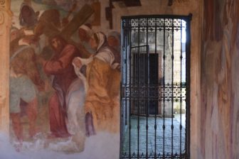 Pavia 2025 (22)